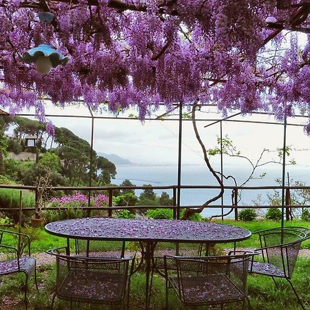 Villa Maria Antonietta Vietri Eksteriør bilde